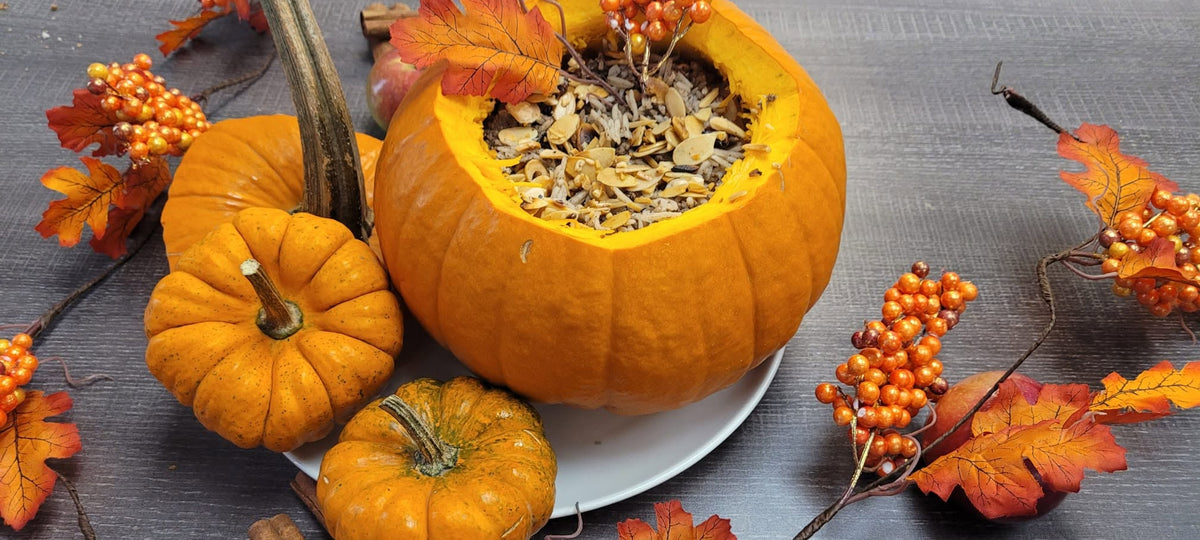 Stuffed Pumpkin